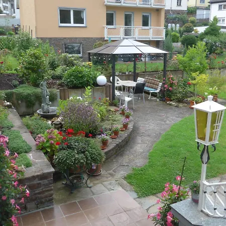 Schneider * Cochem