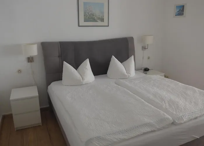 Schneider Maison d'hôtes