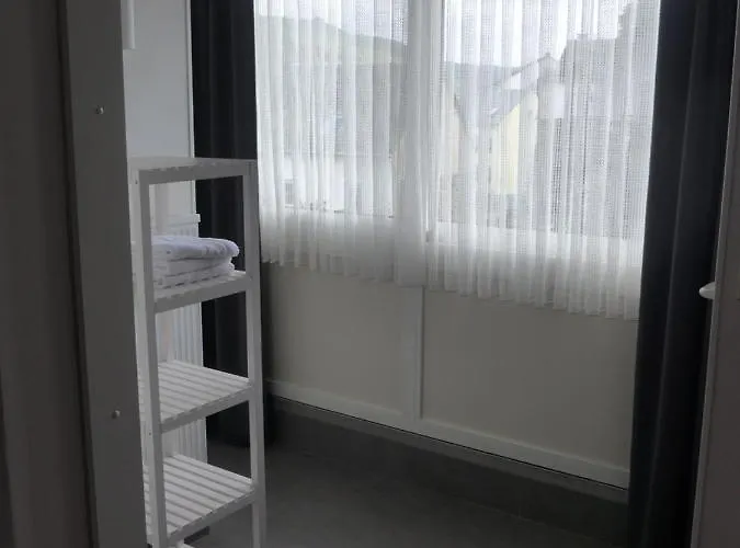 Schneider בית הארחה קוכם