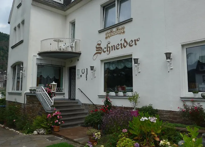 בית הארחה Schneider 3*