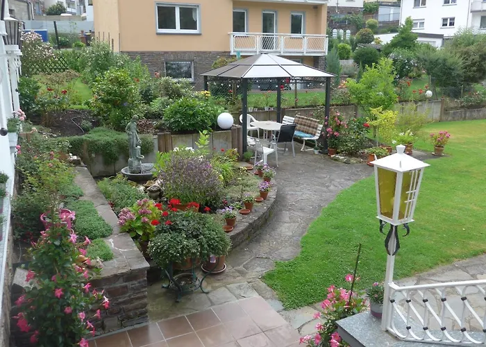 Schneider 3* קוכם