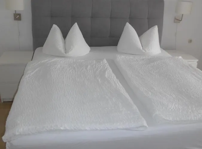 בית הארחה Schneider