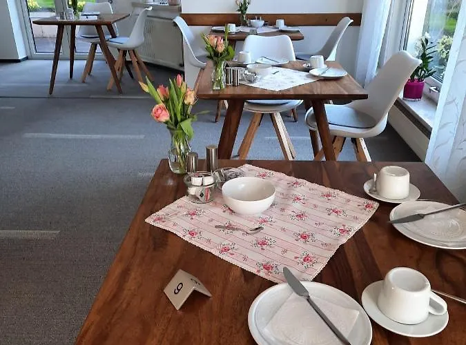 Schneider 3* קוכם