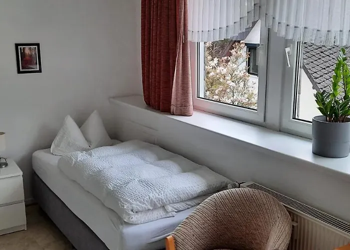 Schneider בית הארחה קוכם