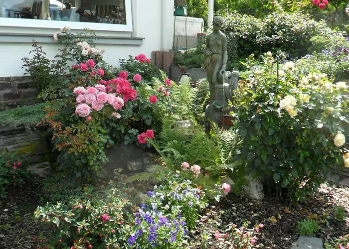 Schneider Κόχεμ